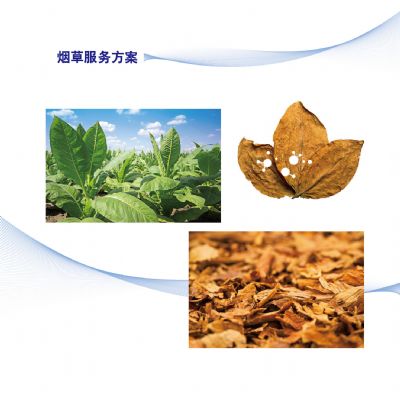 烟草服务方案